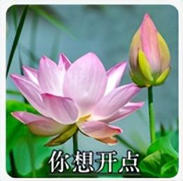 微信头像｜精选朋友圈优质头像，精选优质微信头像大全（头像 ， 朋友圈里最靓的头像）