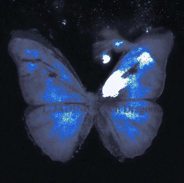 克莱因蓝代表什么寓意，克莱因蓝（或许你也会喜欢克莱因蓝）