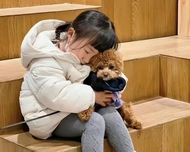 适合学生养的狗，学生党适合养什么狗（你的宝贝上榜了吗）