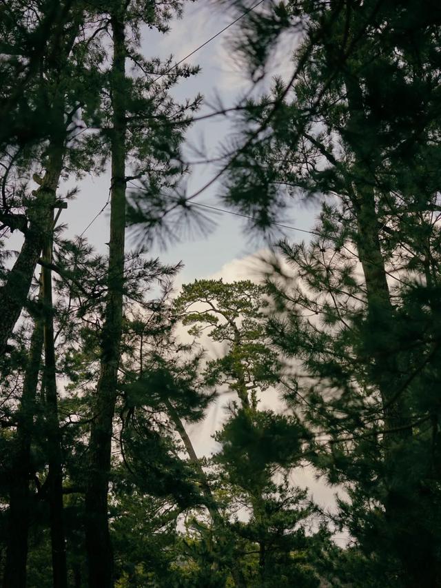 摄影的意义与价值，摄影对孩子意义与价值（戴显婧：从摄影师到导演）