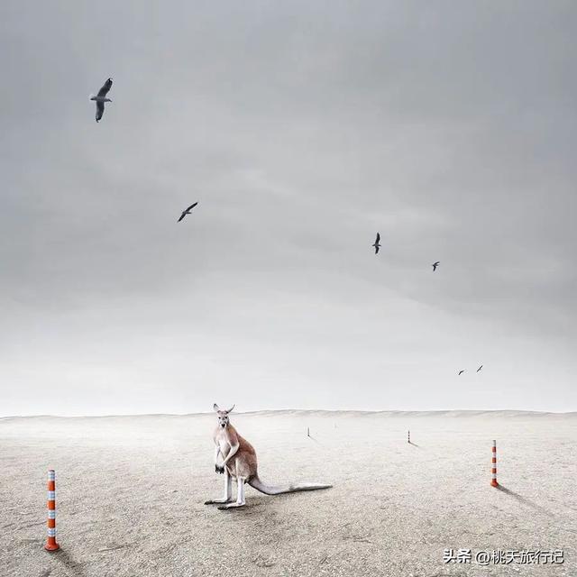 简约黑白线条画人物微信头像，黑白线描画人物头像（2022年黑白极简主义摄影获奖作品）