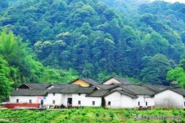 从化自驾游最好去处，广州从化自驾一日游景点有哪些