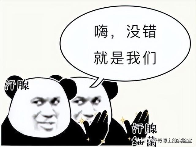 体香是怎么产生的，如何让身体散发自然体香（为什么女生闻起来都是香香的）