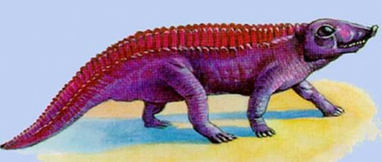 鸡是什么类动物，鸡属于什么类型的动物（智利科学家培育出“恐龙鸡”）