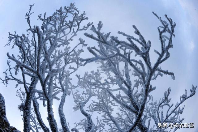 关于雪的诗句古诗，赞美雪的诗句古诗（古诗中的飘飘雪八首）