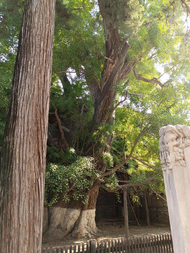 北京郊区一日游，北京郊区一日游最佳路线（曲径通幽好去处一一北京大觉寺一日游）