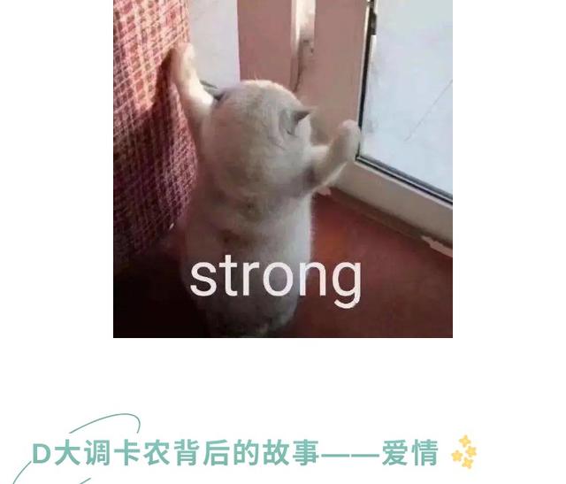 帕赫贝尔 d大调卡农，卡农和轻音乐的区别（《开端》的爆炸铃声为什么是《卡农》）