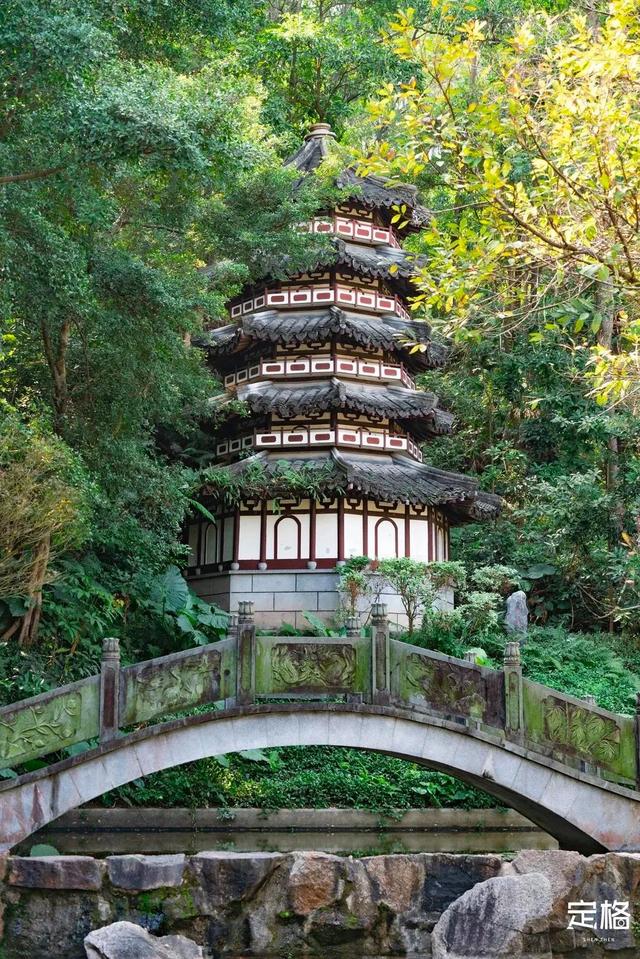 深圳好玩的免费景点，深圳哪里好玩的景点（来深圳这10个地方免费玩）