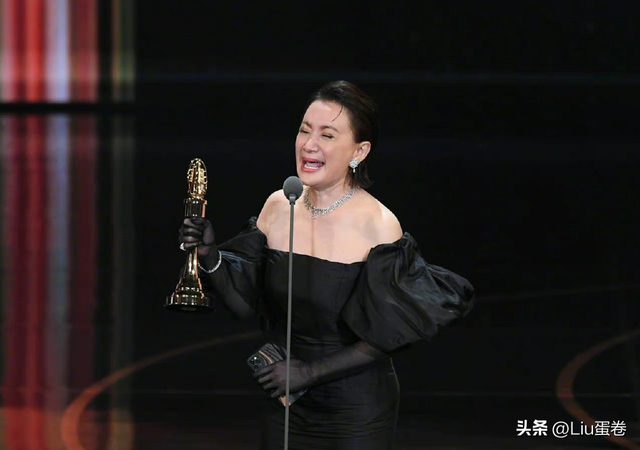 陈亚兰回厦门卫视，陈亚兰获得金钟奖视帝