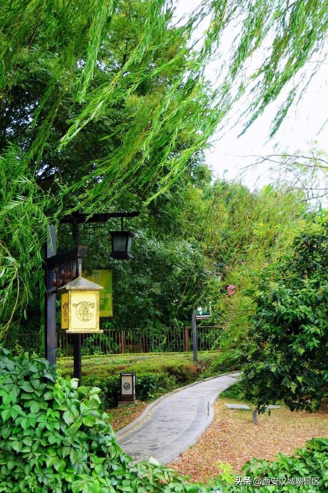 唯美图片清新简约 请允许我成为你的夏季，唯美图片清新简约头像（是时候给你点“颜色”看看了……）