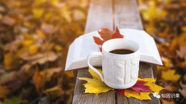 九十岁老人称什么，九十岁寿辰称呼（九十岁的老奶奶的故事：原来）