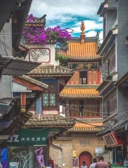 云南最好吃的野生菌在哪，中国最浪漫城市非她莫属