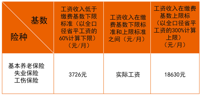 五險一金繳納基數,五險一金基數怎麼計算(社保繳費基數怎麼定)