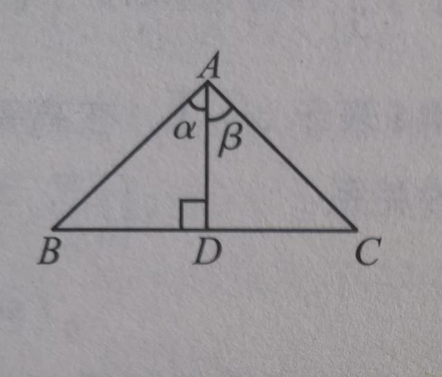 sin180°等于多少，sin180°是多少（从少年圆鱼洲到追光课堂）