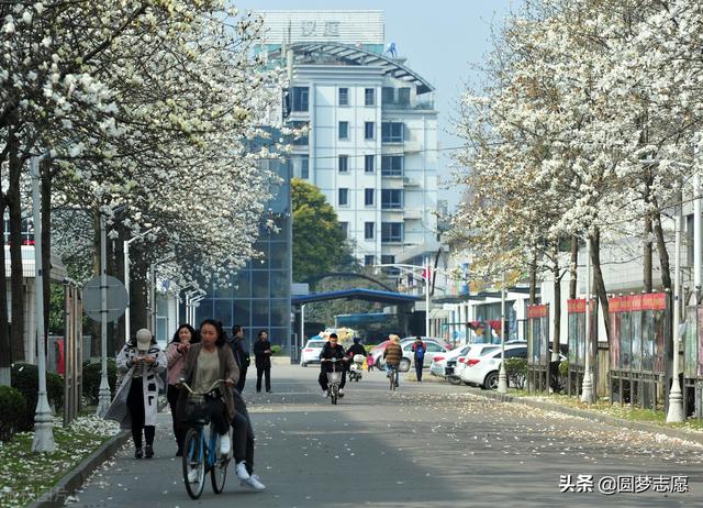 扬州大学排名2021最新排名，2021扬州大学排名（江苏大学、扬州大学：怎么选）