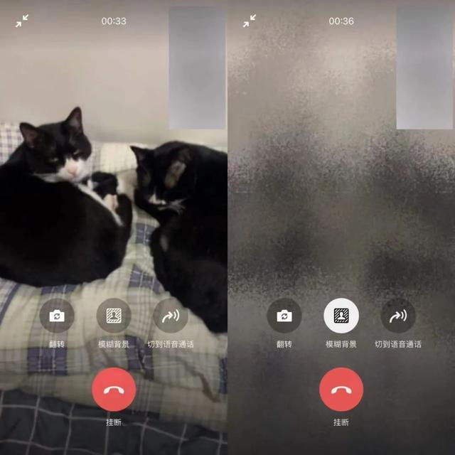 微信群视频聊天怎么开，微信群怎么开启群视频聊天（微信“史诗级更新”）