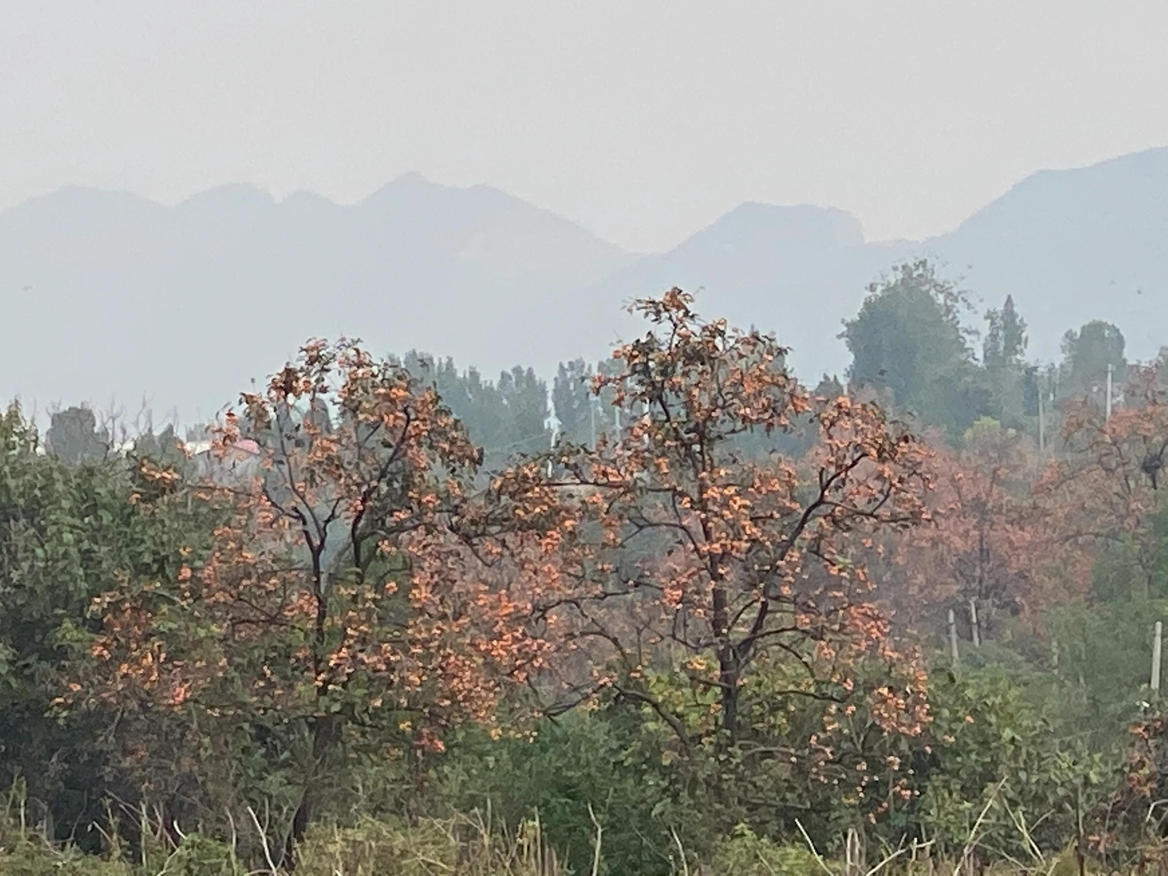 十公里开车要多久(十三公里开车需要多久)