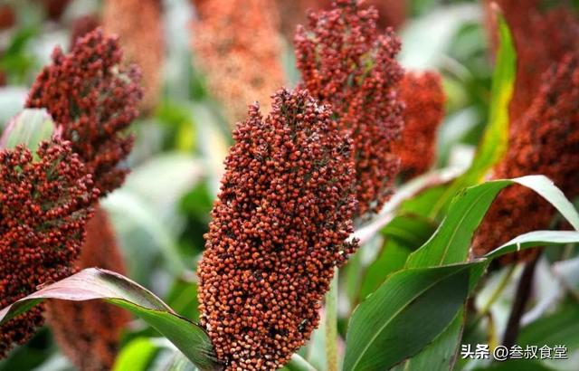 牛栏山酒的价格，牛栏山白酒有哪些价格（售价不到20元的牛栏山）