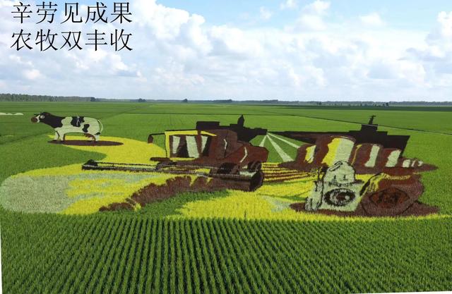 卫星互联网是什么技术，有什么优势（卫星及互联网技术）