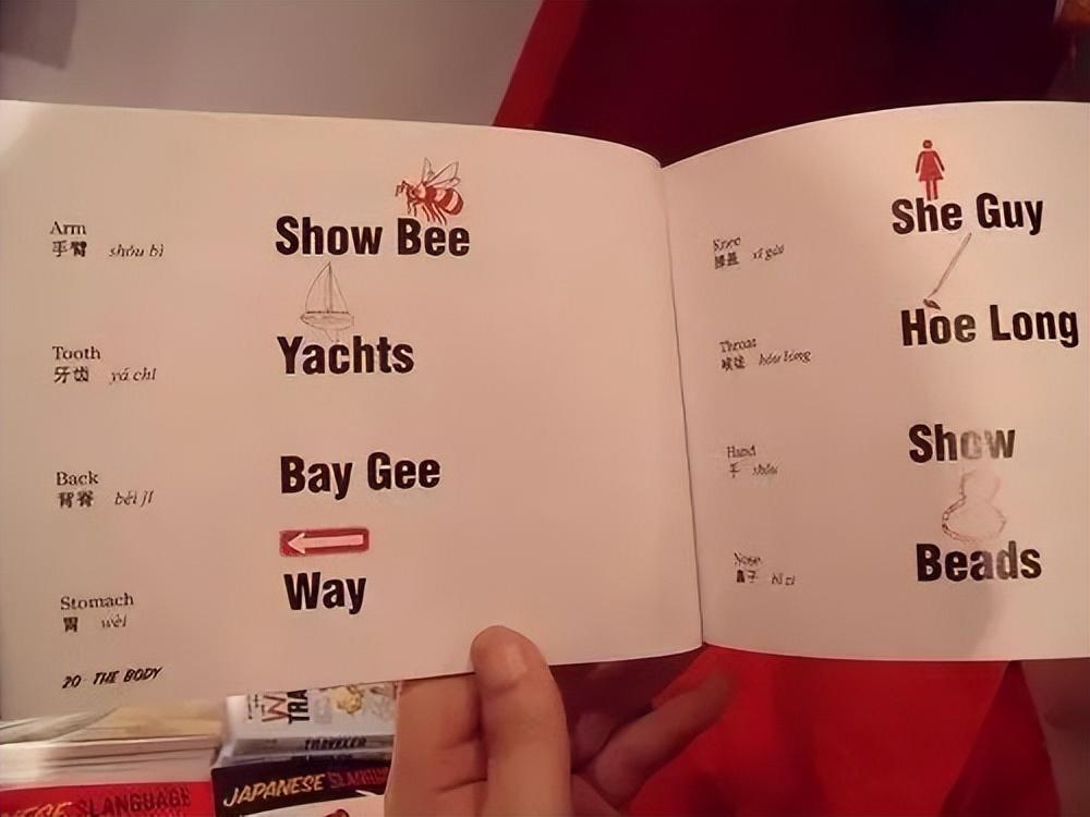 胳臂念啥呢，胳臂读音（“手臂”要念“Show）
