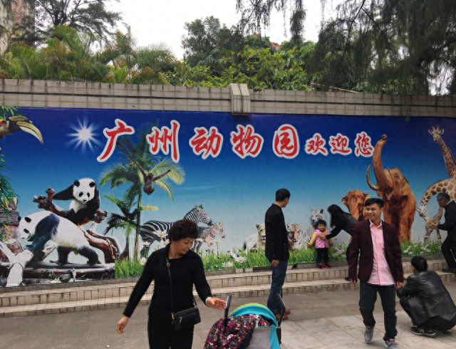 广州动物园20元门票，为何坚持了二十多年没涨价？