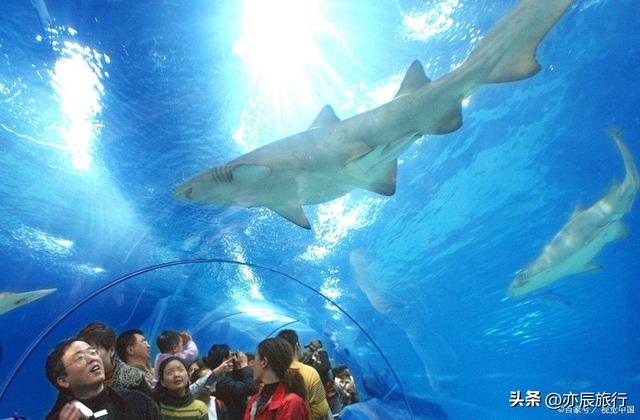 大连有什么好玩的景点推荐，大连有哪些景点必去（大连必去十大旅游景点推荐）