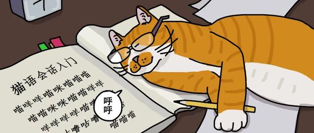 如何读懂猫的叫声语言，猫的叫声对话（一次性教你看懂猫咪语言）