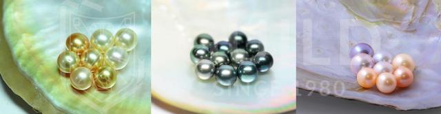 什么珍珠最好，什么珍珠最好看（看懂这4点就能买到高档次的珍珠）