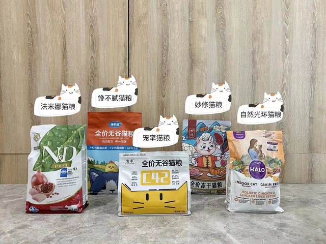 养猫训猫技巧，如何正确训练猫咪