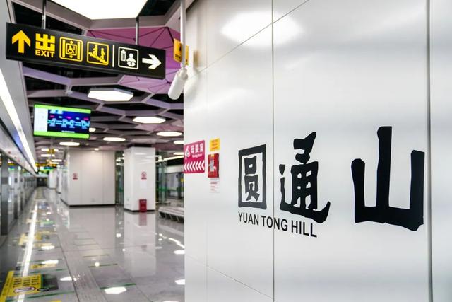 豹龟结石，昆明地铁5号线，首！发！见（肾结石会有啥症状）