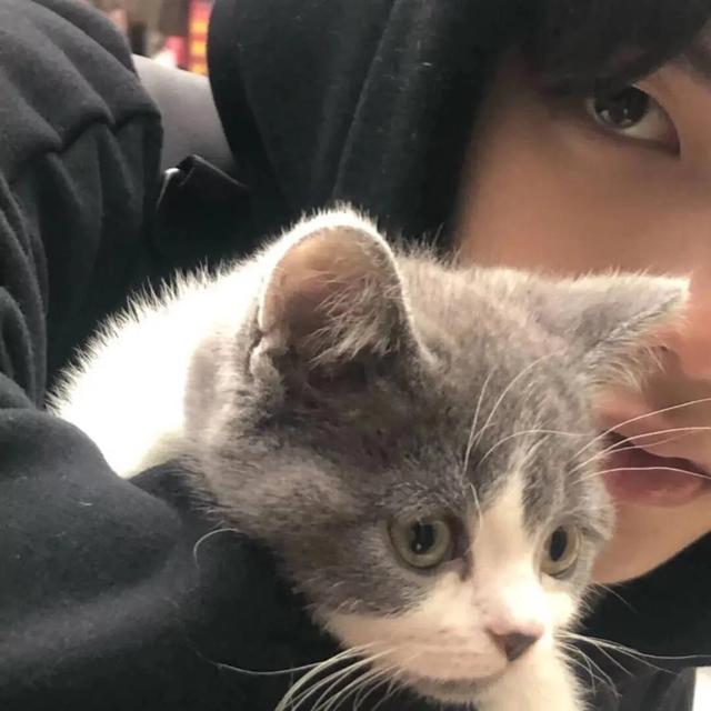 适合男人用的微信头像有哪些，好看的微信头像男人专用 个人私藏(2)（而不是解释自己）