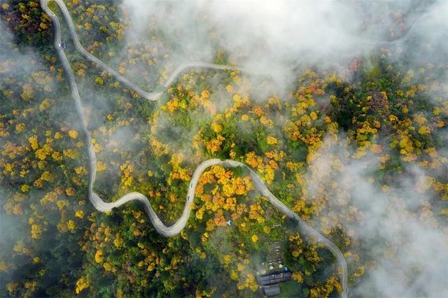 关于峨眉山的诗句，千年唐诗，还原峨眉山最美风景