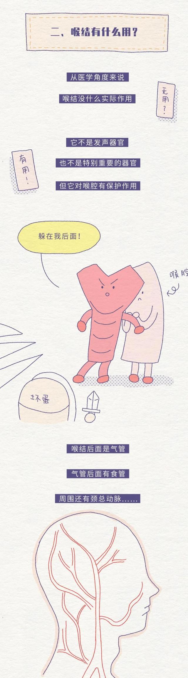 为什么男生的喉结不能摸，男生的喉结为什么不能碰（好奇：男生的喉结）