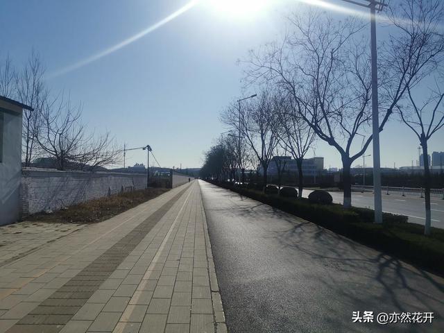 可行性研究报告编写，可行性的研究报告怎么写（职场写作：立项报告的写作技巧）