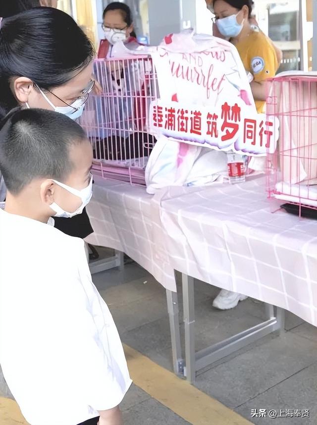 上海宠物领养活动，收养代替购买~在奉浦街道