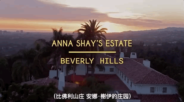 模特dj是什么意思，女性dj是什么意思啊（有钱人世界竟然由这七类人构成）