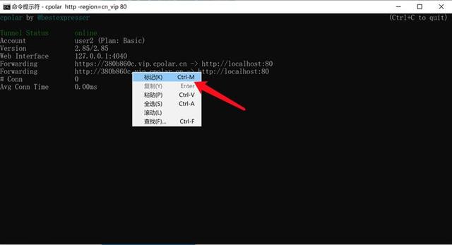 如何在Windows上搭建web站点，并发布到公网？1-1