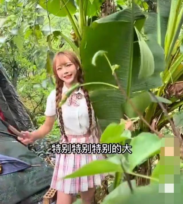 肥肥鲨，微信头像，肥肥鲨（被指吃相难看像恐怖片）