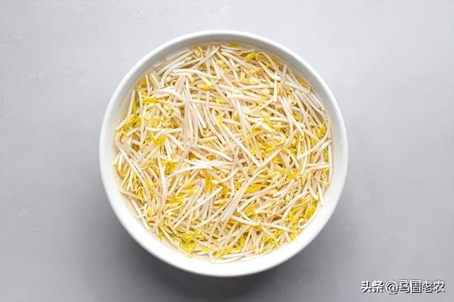 炒豆芽怎么做好吃，如何做绿豆芽的步骤（村里人都爱吃的炒豆芽）