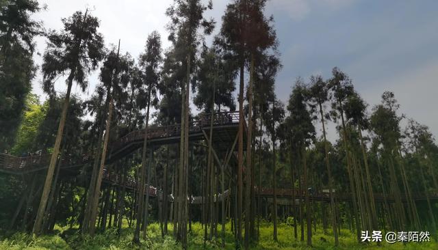 怎样游览邛崃天台山，去邛崃天台山（2022夏日自驾旅行体验）