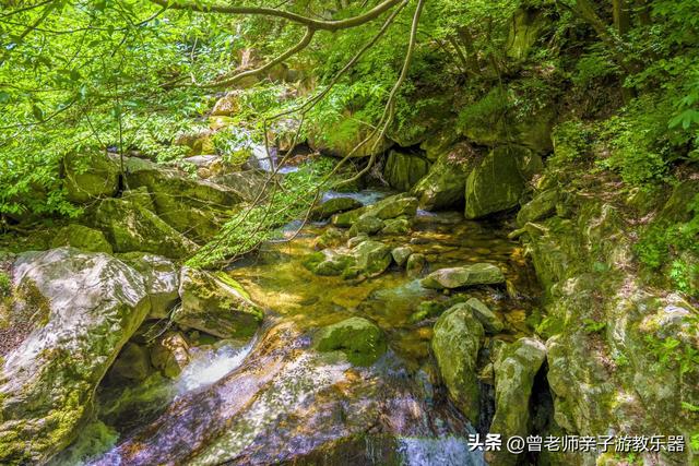 秦岭经典十大景点，2023西安秦岭20个景区推荐