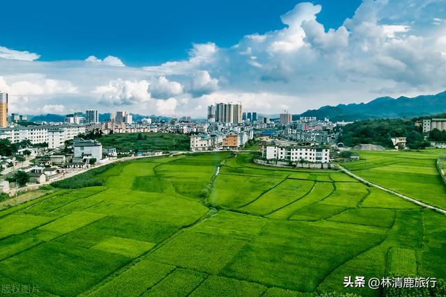 离云南最近的城市，云南省的边境城市有哪些（交通房价医疗都不错）