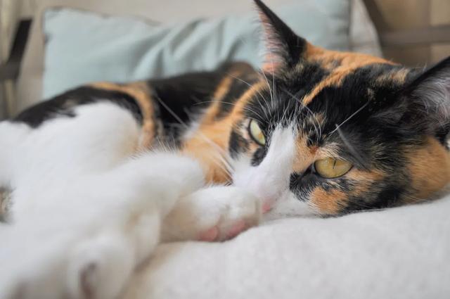 10公斤托运大概多少钱,飞机托运10公斤多少钱(过年多一手准备,多一分底气) 10公斤托运大概多少钱,飞机托运10公斤多少钱(过年多一手准备,多一分底气)