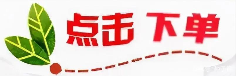 最新赚钱项目(手机免费创业项目)