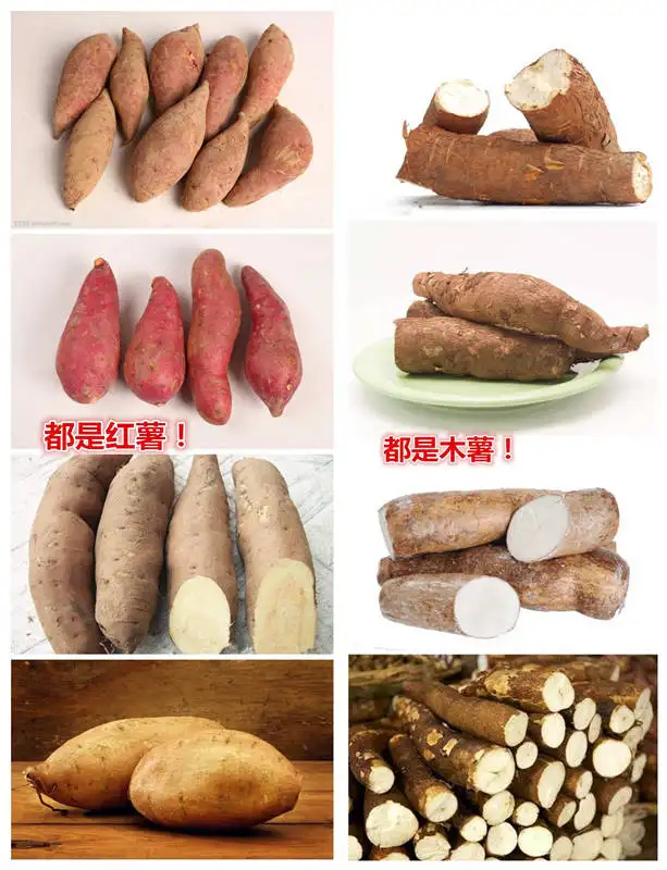 红薯粉能代替玉米淀粉吗，红薯粉可以代替玉米淀粉吗（315曝光红薯粉为木薯制成）