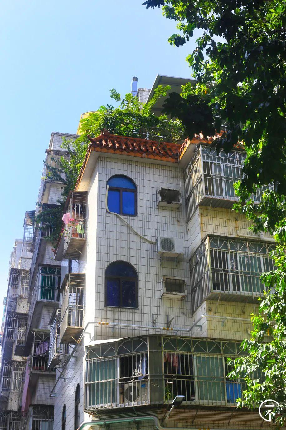 深圳北在哪个区(深圳西站在哪个区)