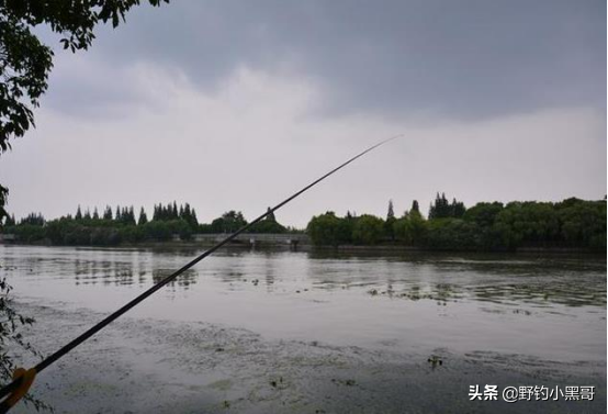 下雨天怎么钓鱼，下雨天怎么钓鱼比较好（入夏后不管新手还是老鸟）