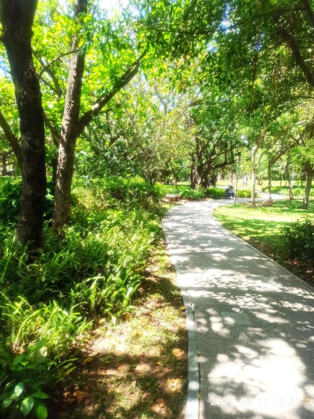 深圳湾公园在哪里，去深圳湾公园怎么预约（深圳湾公园）