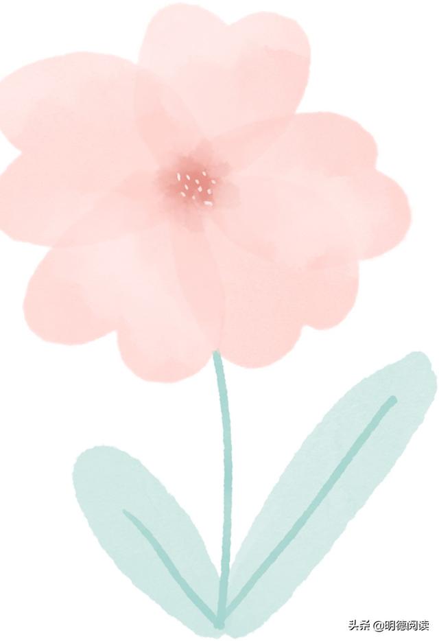 不如自挂东南枝（网友拼接的奇葩诗词）