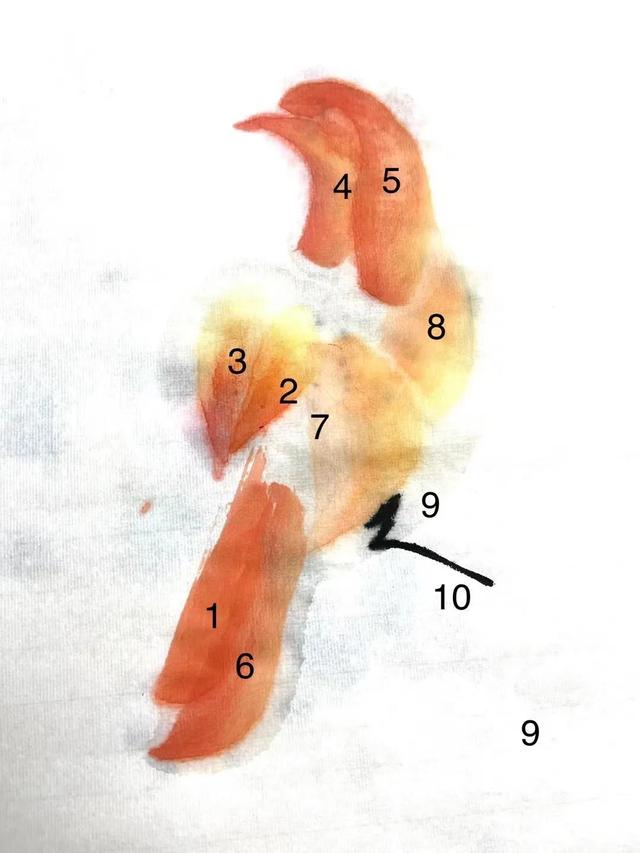 简单的鸟怎么画，如何画简易的小鸟（画家刘华：鸟的画法）